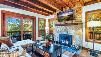 Smart TV, fireplace, books