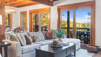 Smart TV, fireplace, books, stereo