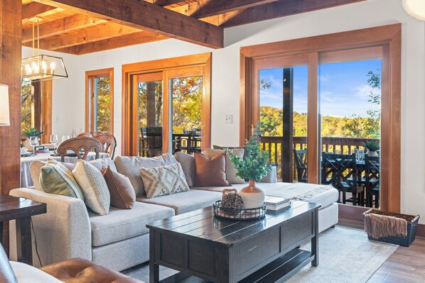 Smart TV, fireplace, books, stereo