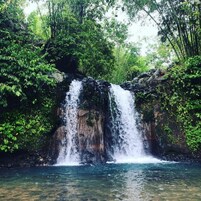 Una cascada se precipita sobre un acantilado rocoso hacia una piscina cristalina rodeada de abundante vegetación.