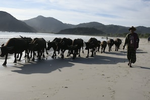 Beach nearby, white sand