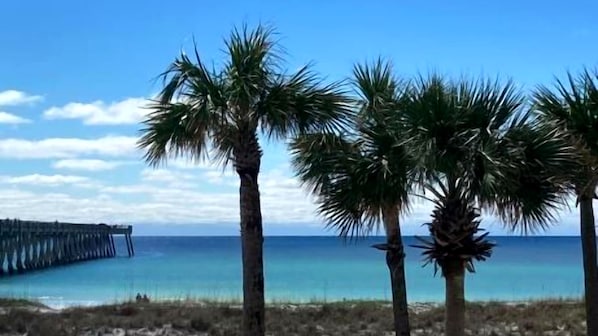 A beach with palm trees and a pier extending into the water.