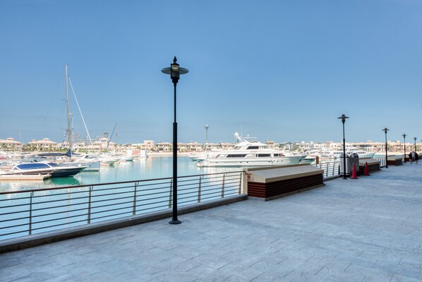 A marina with boats docked, a clear sky, and a waterfront promenade with railings and street lamps.