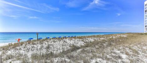 بالقرب من الشاطئ