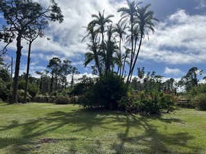 Property grounds - Quiet Private Guest House (North Fort Myers)