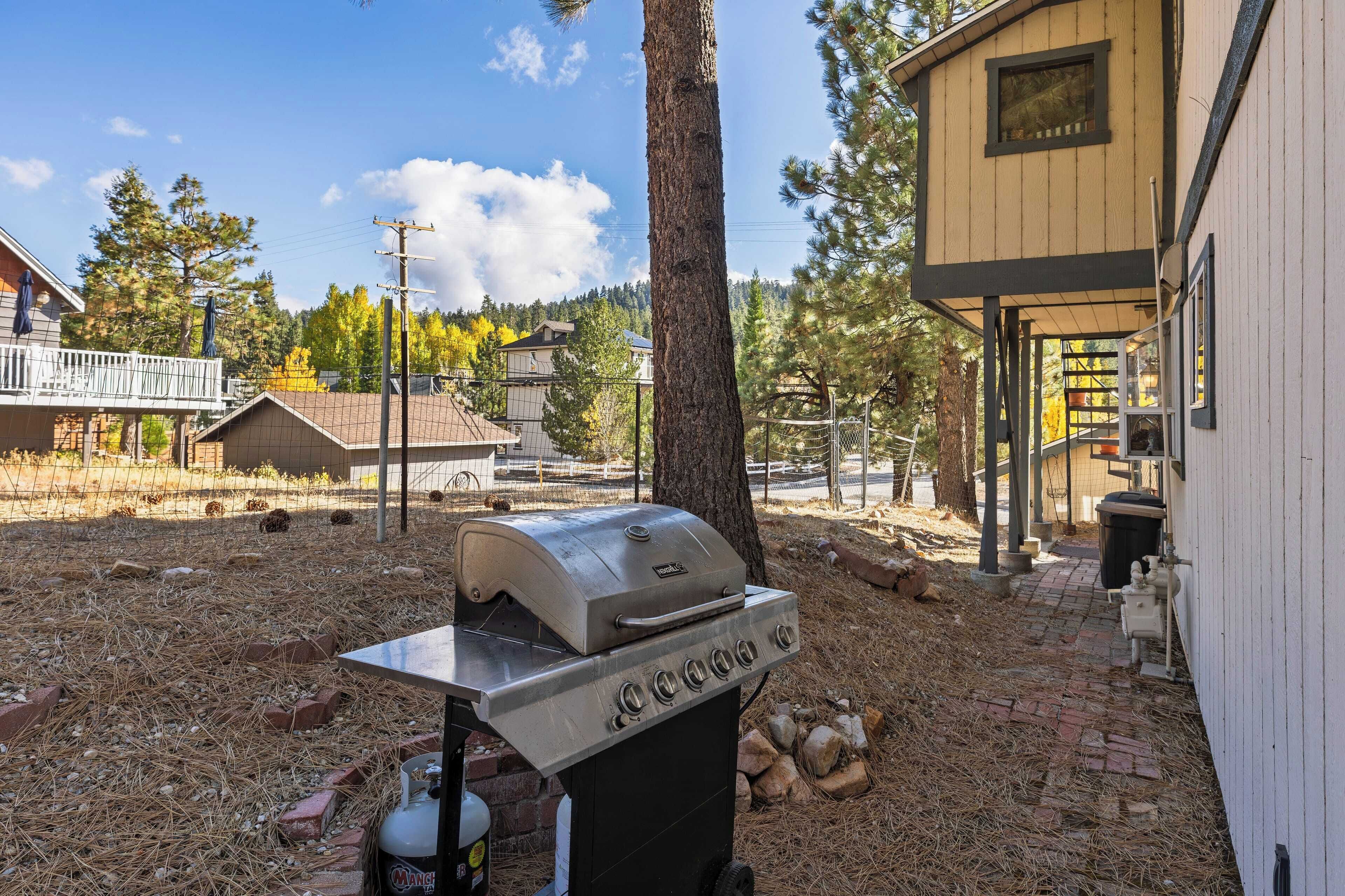 Un jardin avec un barbecue mobile, un chemin en briques et un abri en bois.
