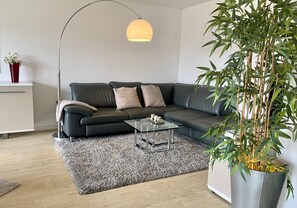 Televisie, een dvd-speler, een tafeltennistafel en een stereo