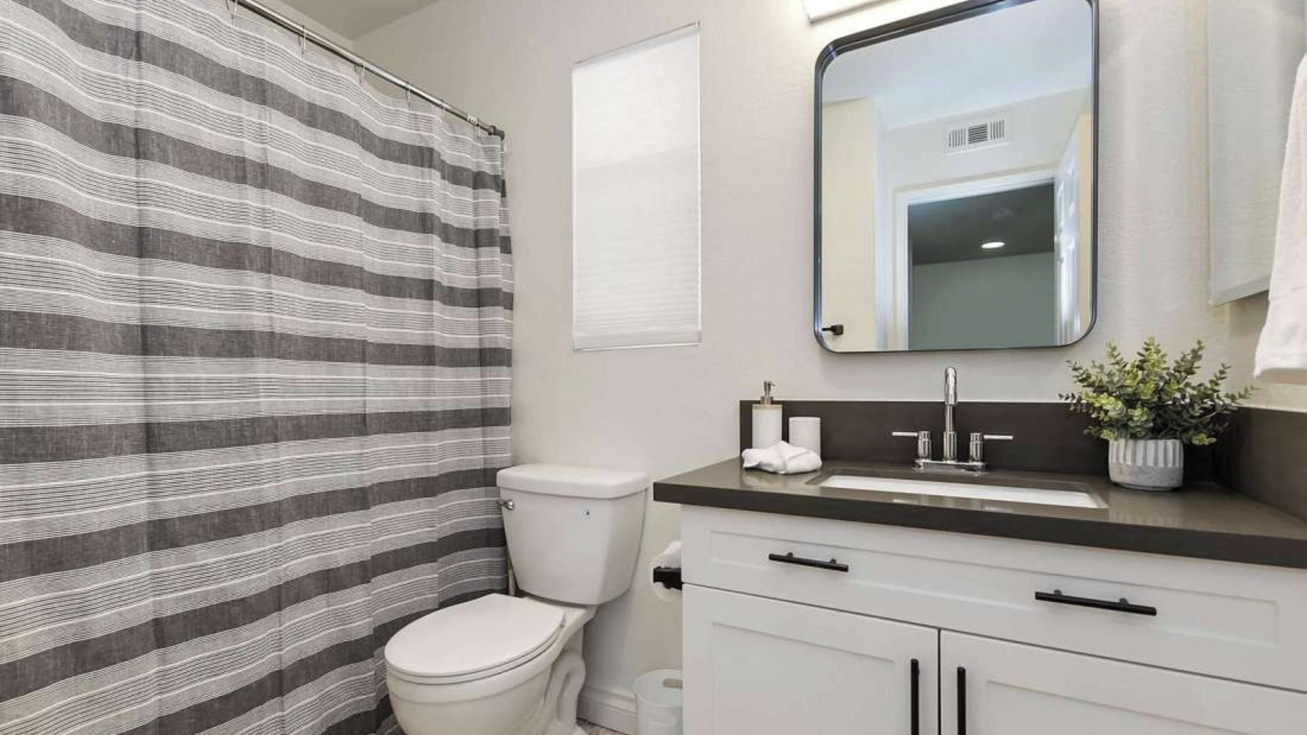 Un baño con cortina de ducha a rayas, un inodoro, un lavabo con espejo y una planta en maceta.