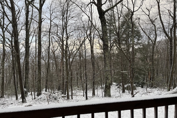 Winter views from the private back porch