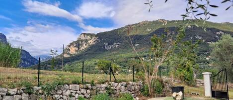 Overnatningsstedets område