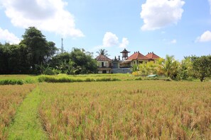 Property grounds - SUARA SIDHI Villa Ubud Bali (Ubud)