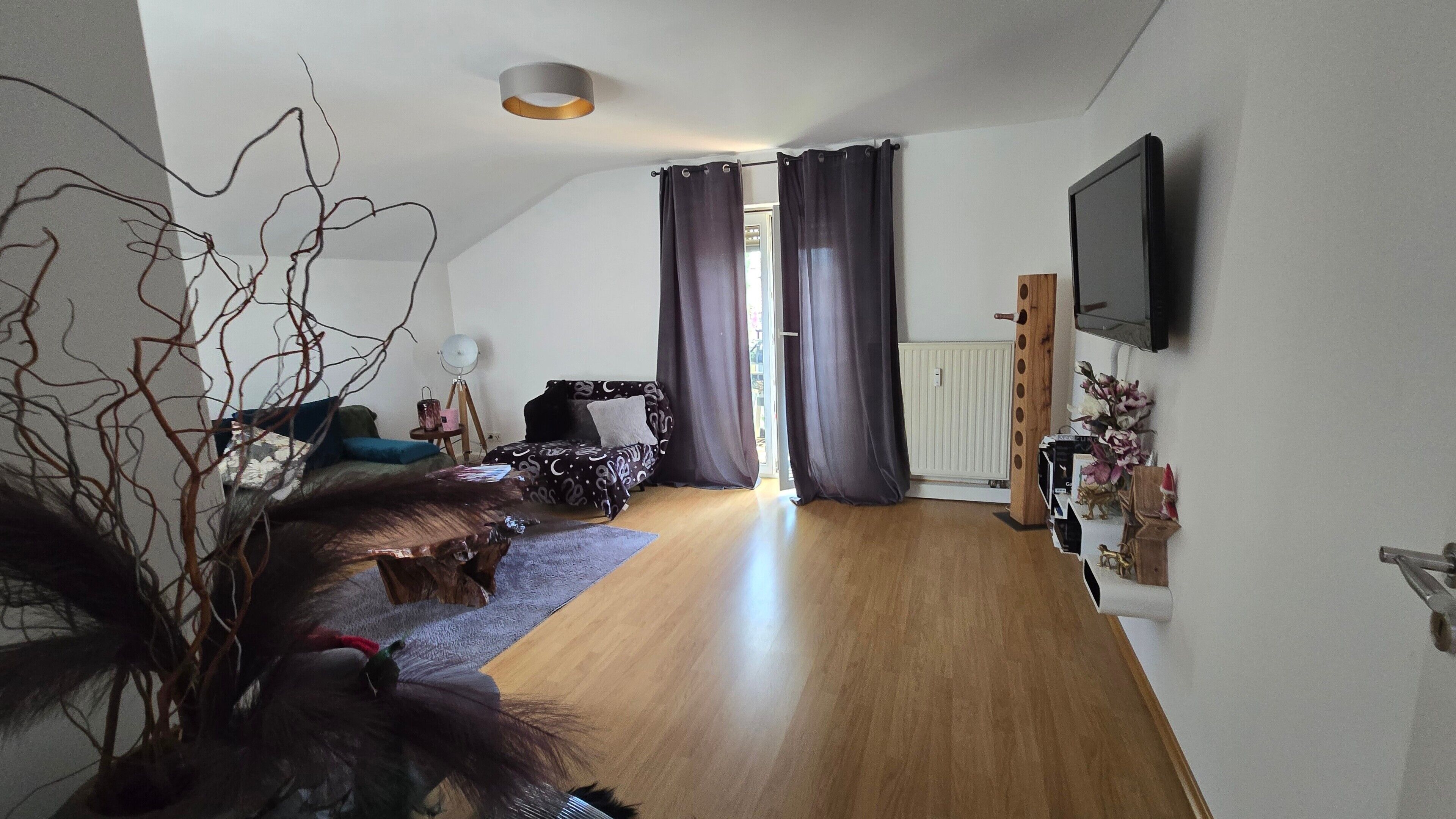 Fernseher