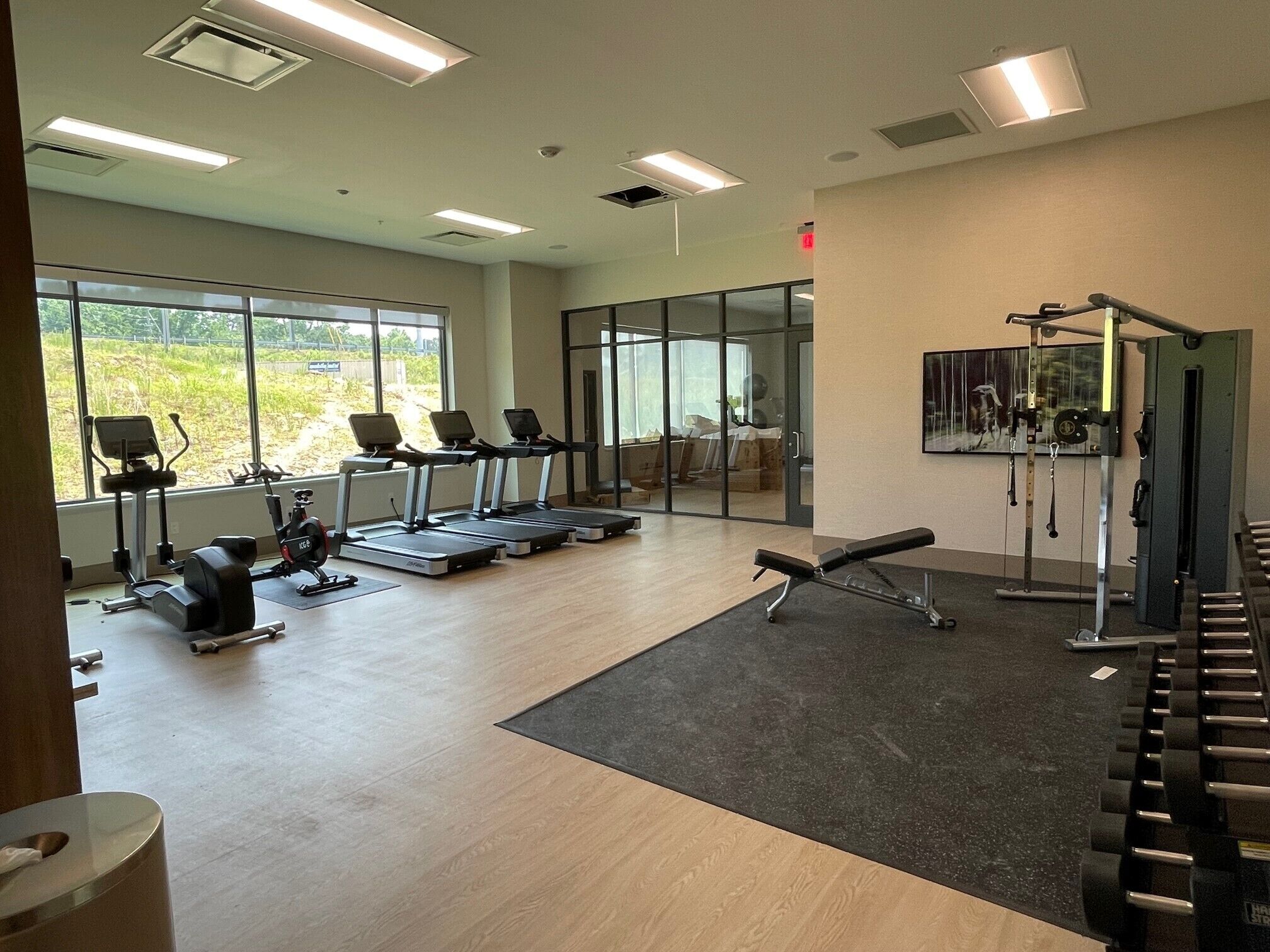 A gym with treadmills, weight machines, and a bench.