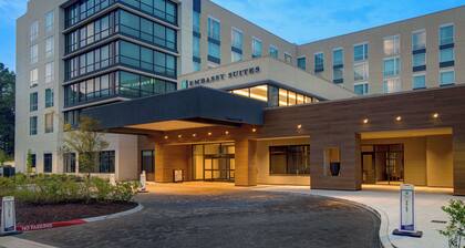 Embassy Suites By Hilton Alpharetta Halcyon