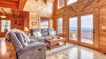 Télévision, cheminée, jeux vidéo, lecteur de DVD