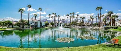 Alberca al aire libre y alberca climatizada