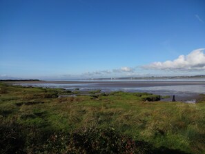 Stunning coastal views unfold across the expansive grassy terrain leading to the calm sea.