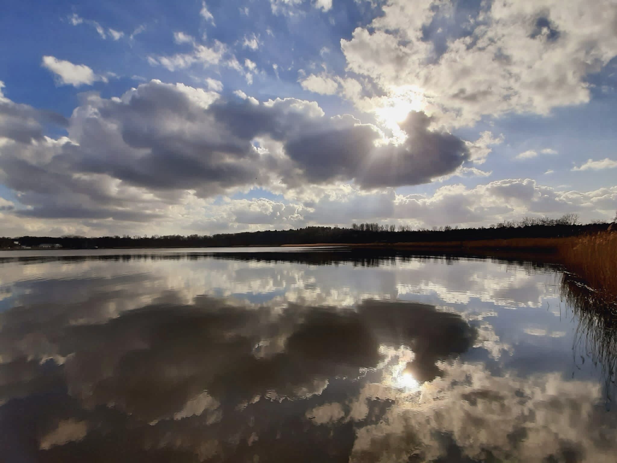 Ligstoelen aan het strand
