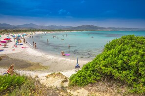 En strand med krystalklart turkis vand, folk der svømmer og solbader, og en række træer i forgrunden.