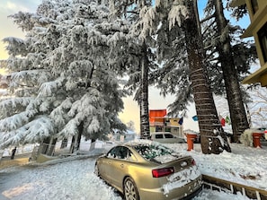 Vista desde la propiedad