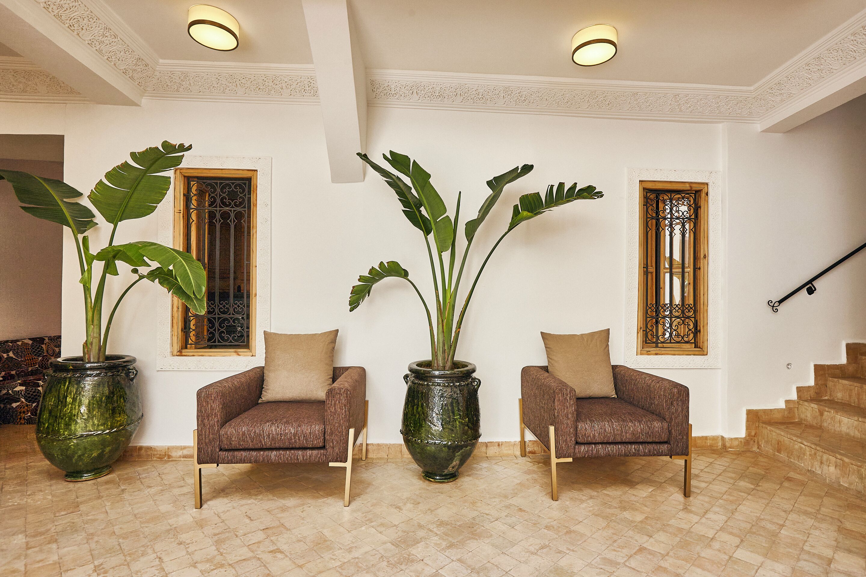 A spacious living area with two brown sofas, a large green plant in a pot, and a staircase to the right.