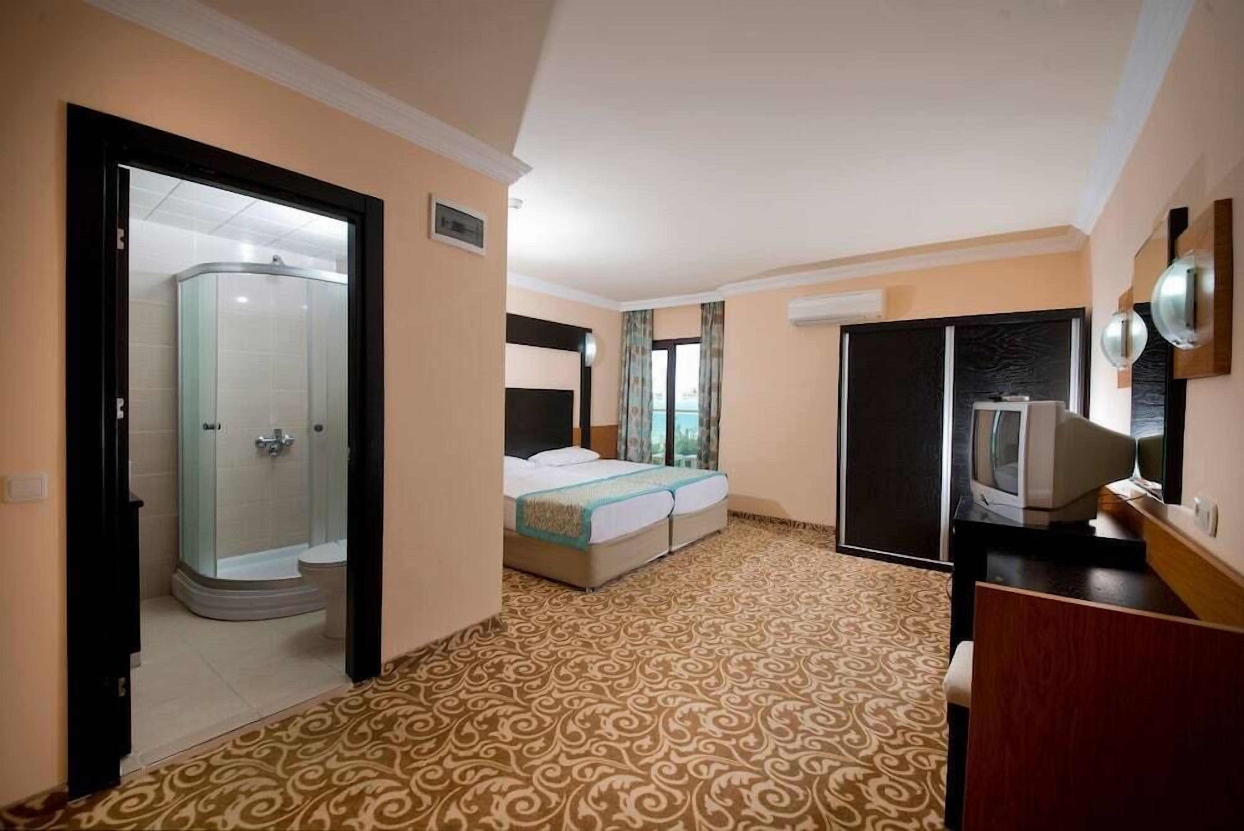 A hotel room with a shower, bed, TV, and a patterned carpet.