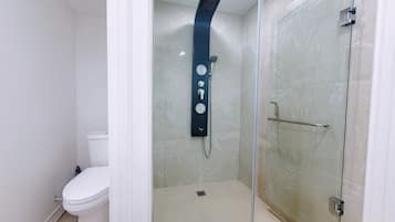 Ducha, secador de pelo, toallas, jabón