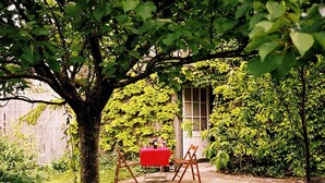 A garden with a table and chairs under a tree, a wooden fence, and a building with a window.