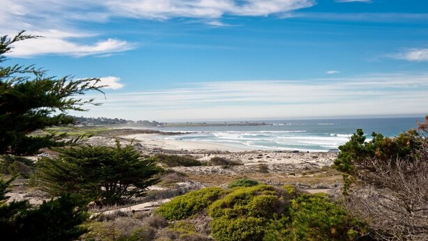 A coastal landscape with a beach, ocean, and sparse vegetation. - Simple Pleasures - Pacific Grove House - America's "Last Hometown" (Pacific Grove)