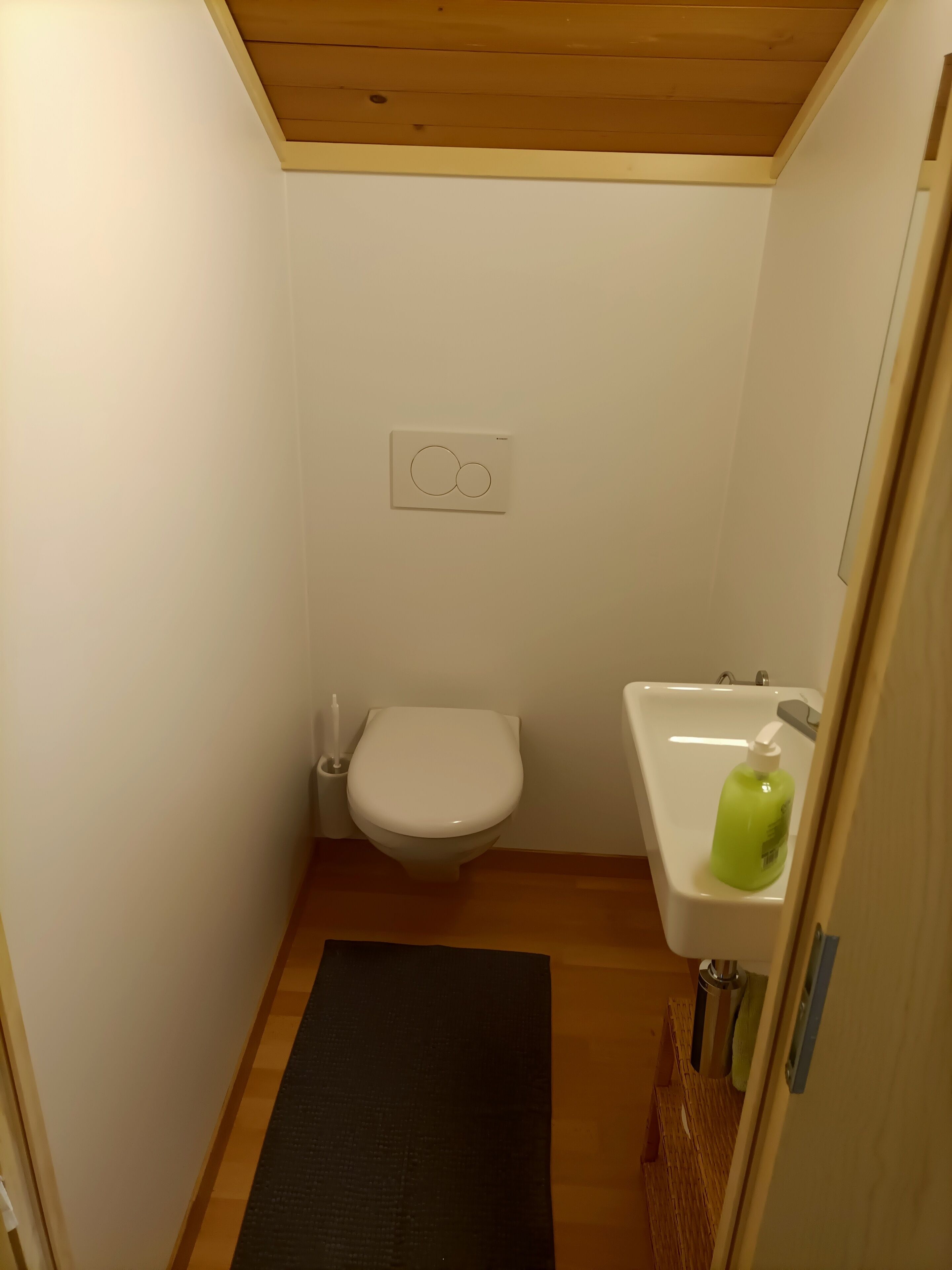 Dusche, Haartrockner, Handtücher, Shampoo