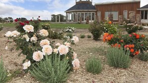 Un jardín con diversas flores y una estructura de pabellón.