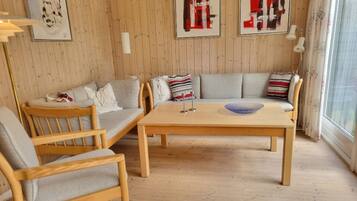 Televisión, reproductor de DVD, videoteca y estéreo