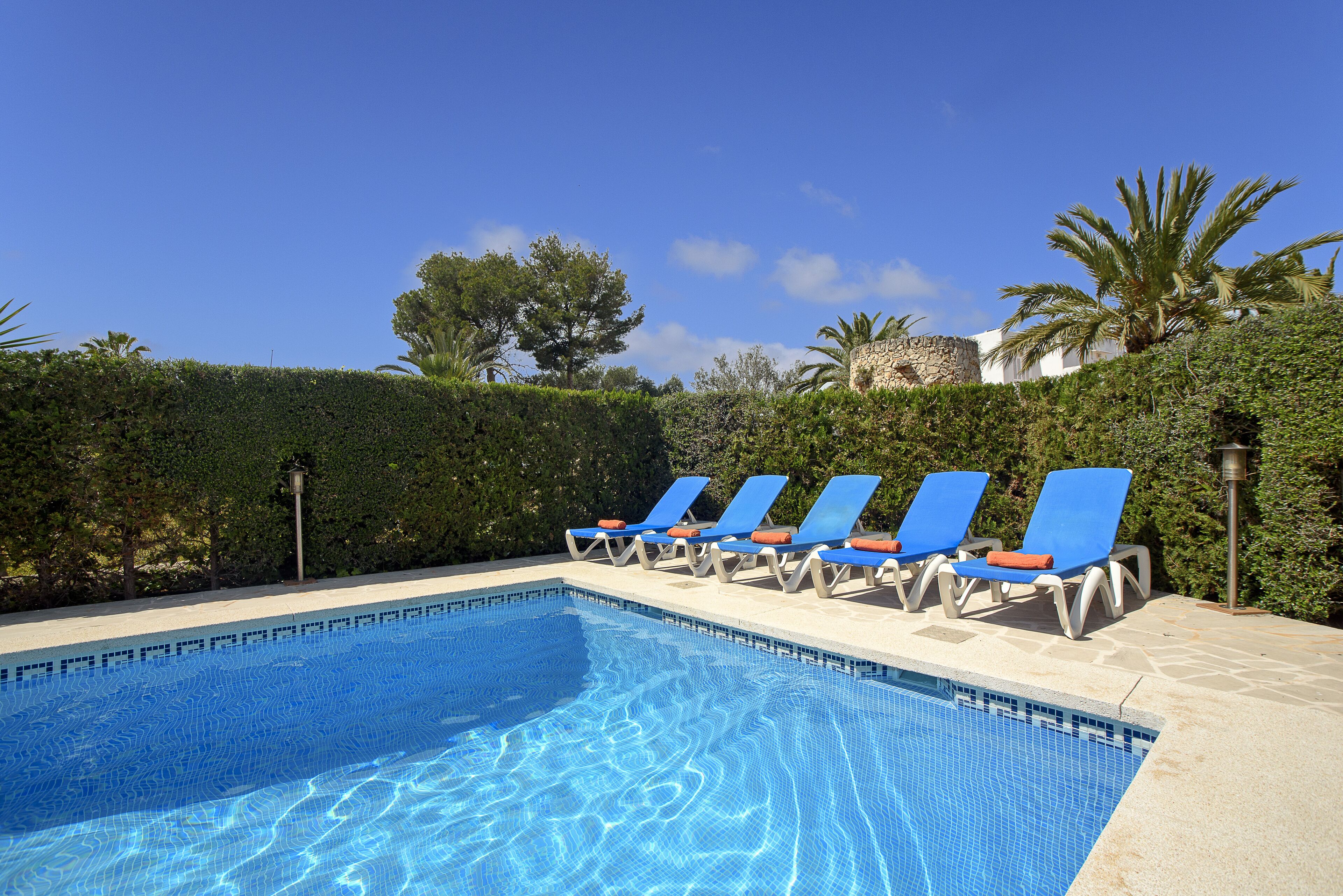 Ein Swimmingpool mit blauen Fliesen, umgeben von Liegestühlen und einer Hecke.