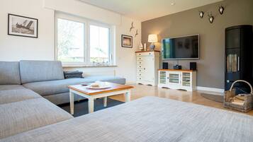 TV, fireplace, books, stereo