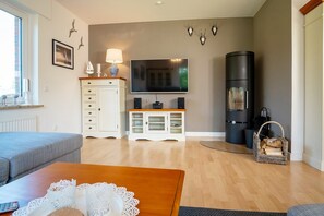 TV, fireplace, books, stereo