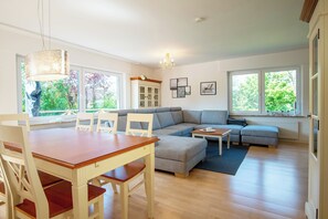 TV, fireplace, books, stereo