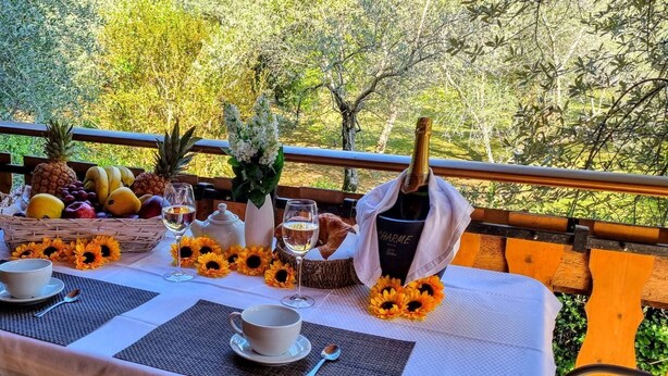 Mesa dispuesta con girasoles, frutas y bebidas en una terraza al aire libre con vista a árboles.