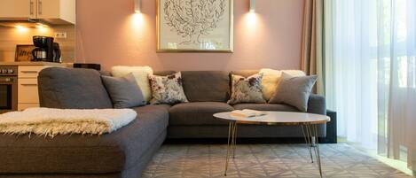 Télévision, lecteur de DVD, livres, chaîne hi-fi