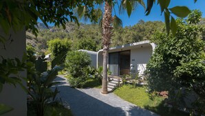 Un chemin menant à un bâtiment dont la porte est marquée du numéro « 203 », le tout entouré d’une végétation luxuriante et avec une chaîne de montagnes en arrière-plan.