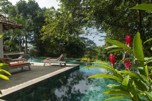 A pool area with lounge chairs and a small structure, surrounded by lush greenery and trees. - 08 Acre Private Tea Estate Close To Galle (Unawatuna)