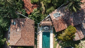 Vista aérea de una zona residencial con varias casas con techos de tejas rojas, rodeada de exuberante vegetación y palmeras.