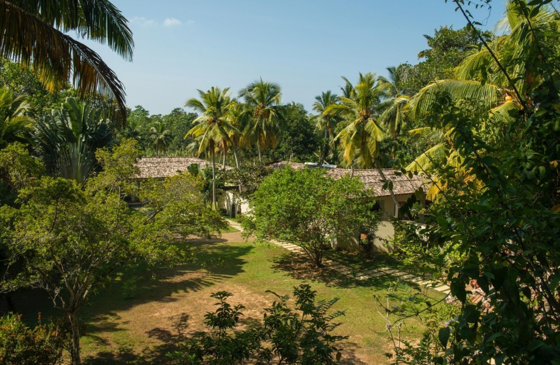 A tropical setting with palm trees and a clear sky.