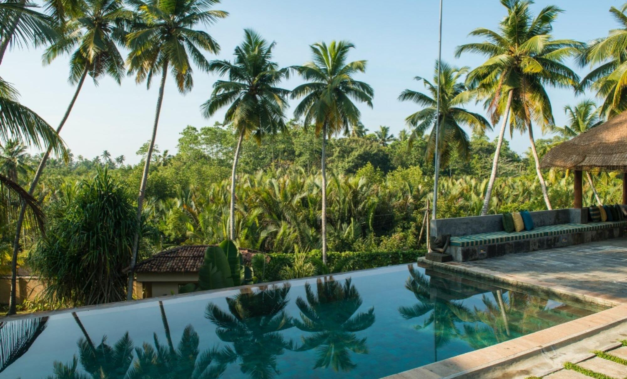 A pool with clear water reflecting palm trees, surrounded by lush greenery and a thatched-roof structure.