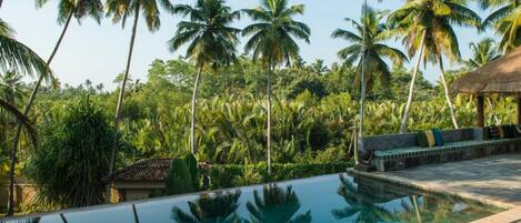 A pool with clear water reflecting palm trees, surrounded by lush greenery and a thatched-roof structure.