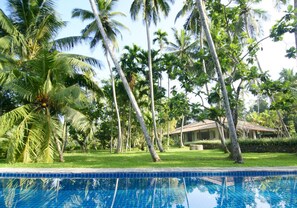A pool surrounded by palm trees and a building with a tiled roof.