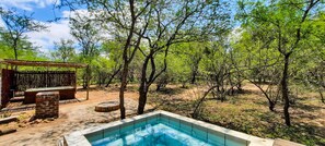 Outdoor pool, a heated pool - Elephant's Hide (Marloth Park)