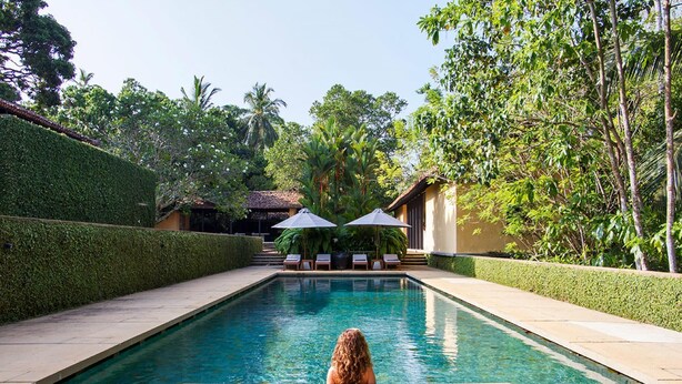 A rectangular swimming pool with a tiled edge, surrounded by a manicured hedge and palm trees. - Historically Important Architecturally Stunning Hilltop Villa (Hapugala)