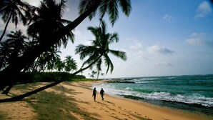 A beach with footprints leading to the water, palm trees, and a clear sky. - Sustainably Designed Villa Overlooking Indian Ocean (Tangalle)