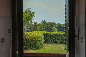 Interior - Orchidea (Città metropolitana di Firenze)