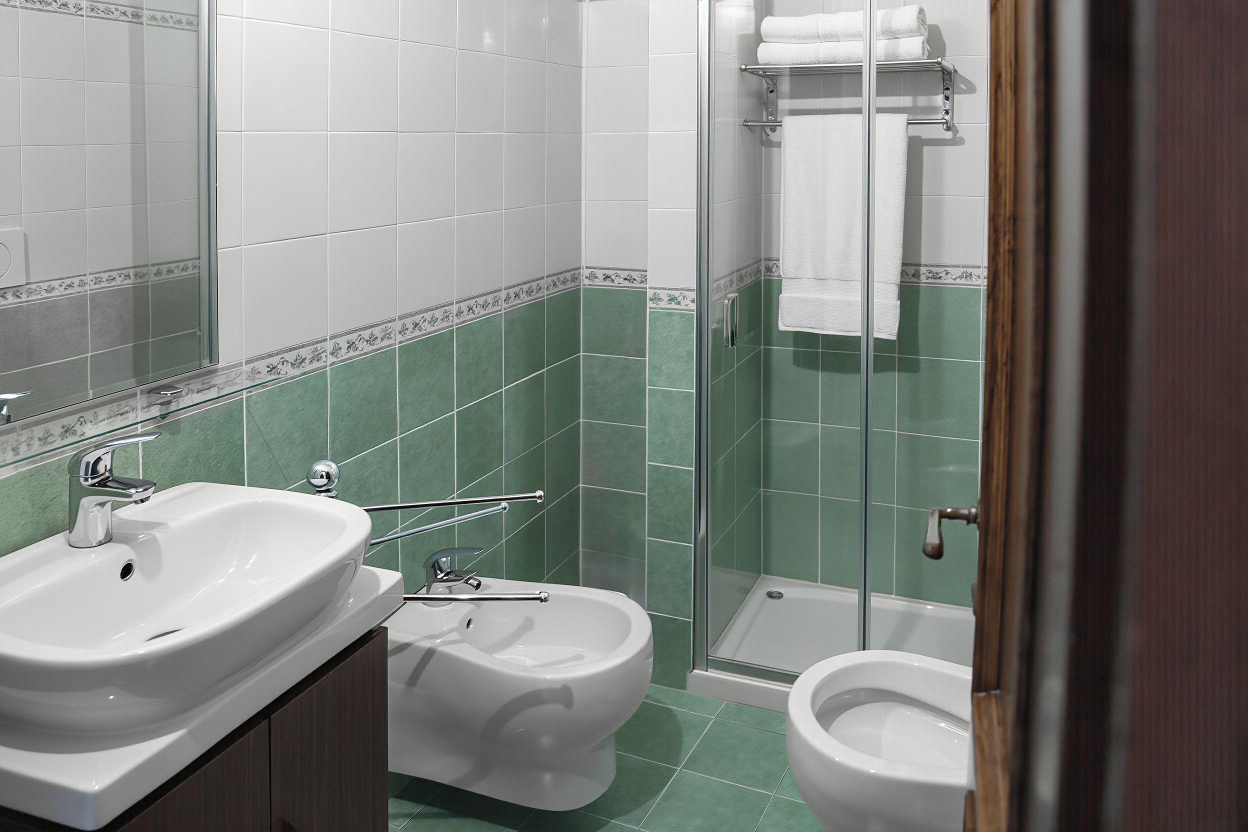 A bathroom with a sink, bidet, and shower.